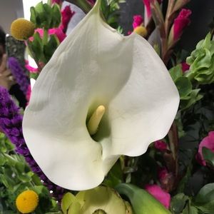 Meet your Posher, Marisela